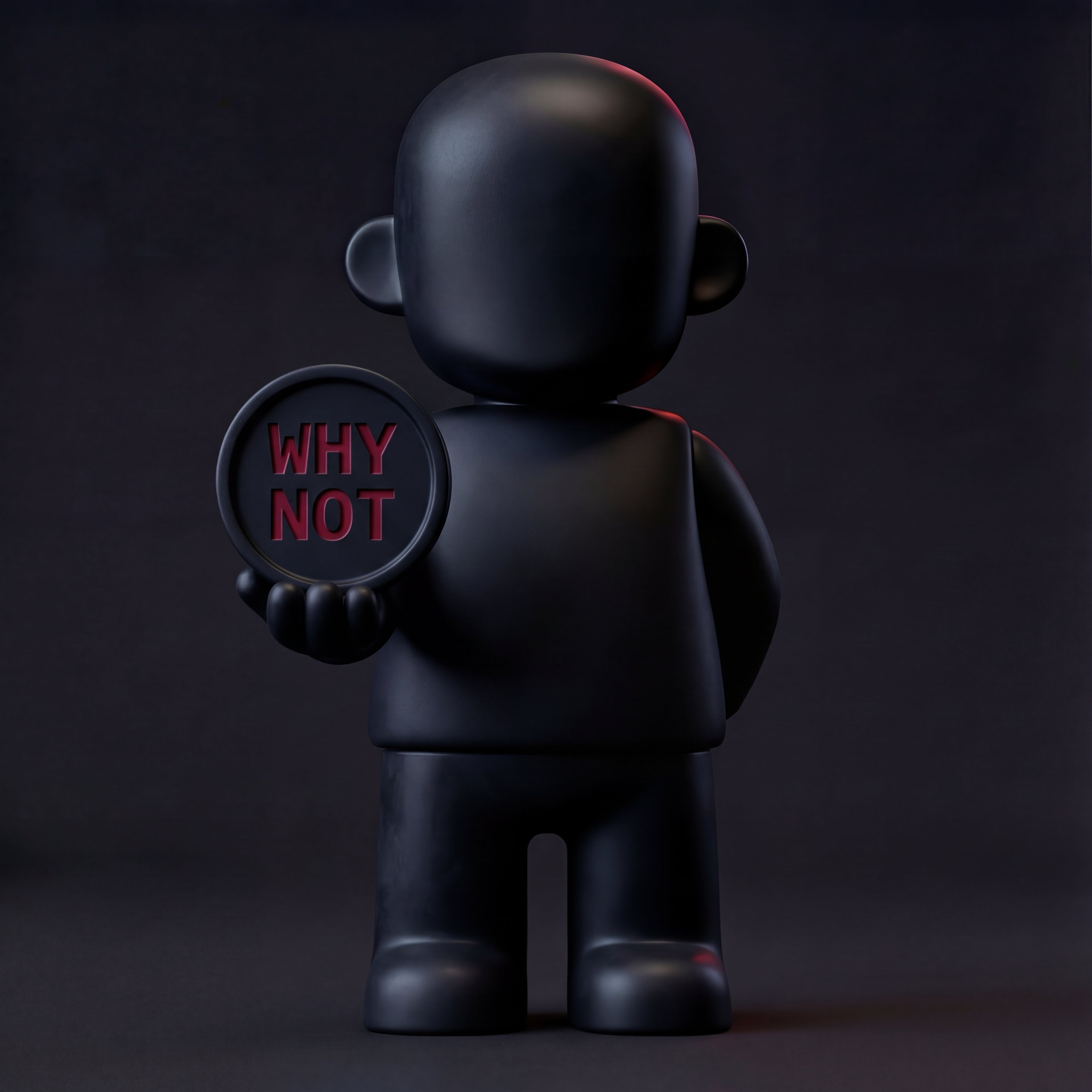 SIYBR "WHY NOT" Fearless Action Toy - A daily reminder to challenge limits and pursue the impossible.