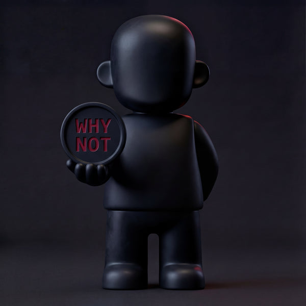 SIYBR "WHY NOT" Fearless Action Toy - A daily reminder to challenge limits and pursue the impossible.